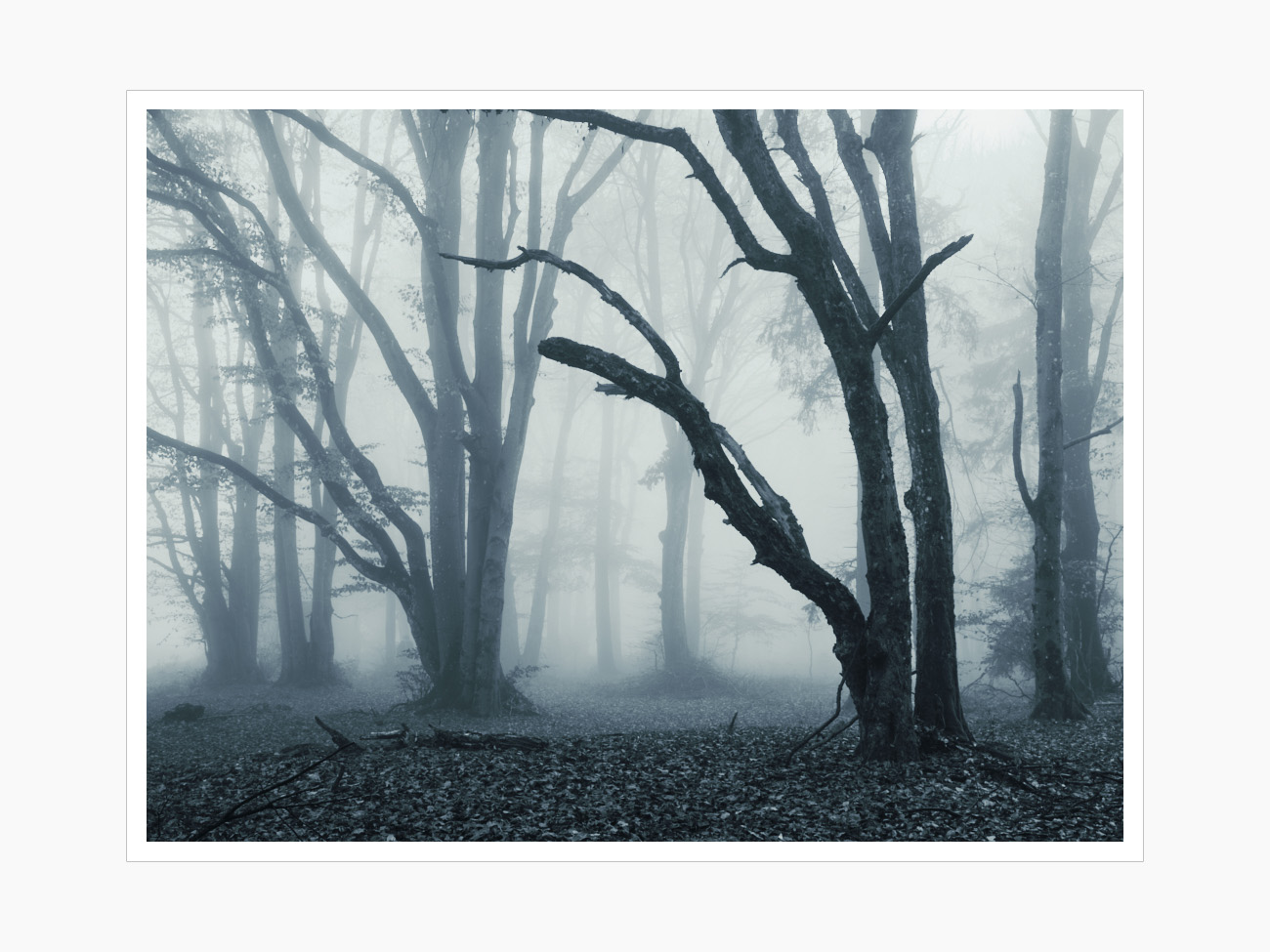 Max Schiefele Alle Bilder  DSF8320